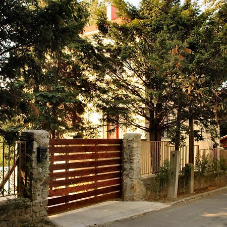 Villa Cecile Sopron Exterior foto